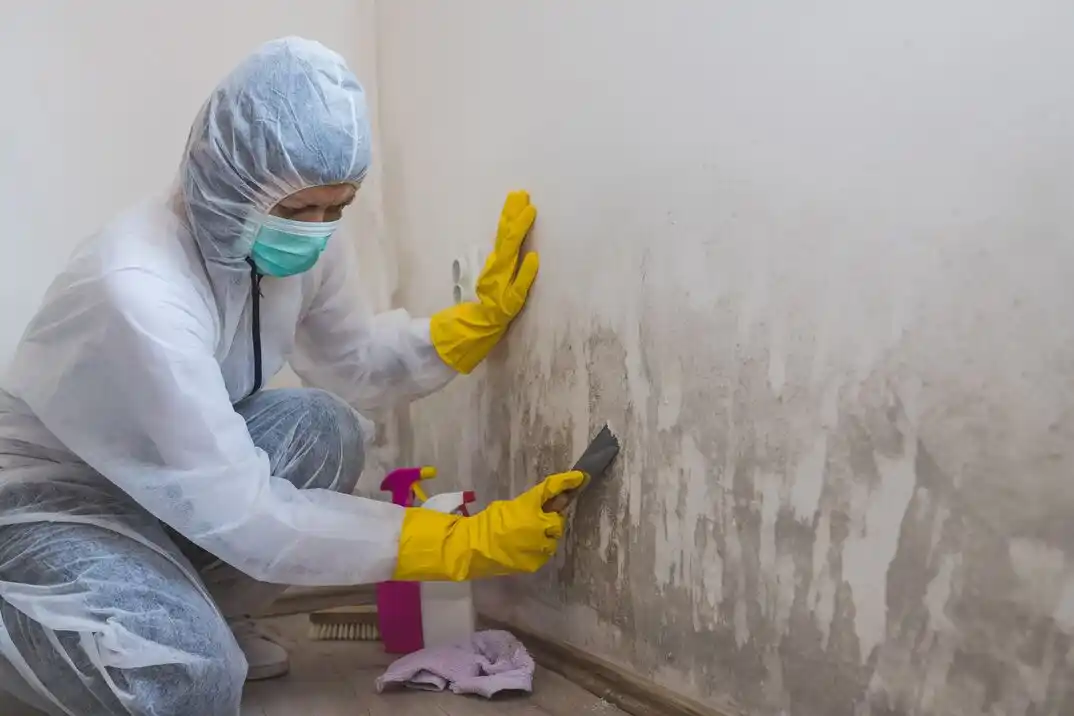 water damage restoration service Wilshire Estates